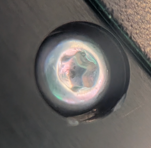Image of one of the T6 screws